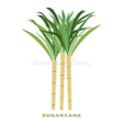 程序图标：Cane Enquiry Uttrakhand 2…