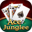 Ícone do programa: Ace Junglee