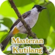 Ikon program: Masteran Burung Kutilang …
