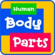 程序图标：Learning Human Body Parts