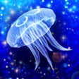 Symbol des Programms: Jellyfish Friends
