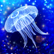 Иконка программы: Jellyfish Friends