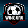 プログラムのアイコン：WinGuru Betting Tips