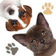 Find a Pet - Hidden Object icon