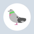 Icono de programa: ポイポイはと