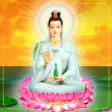 Phật Bà Quan Âm