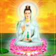 プログラムのアイコン：Phật Bà Quan Âm