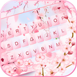 Icon of program: Pink Sakura Petals Theme