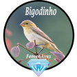 Ícone do programa: Canto Fêmea de Bigodinho