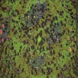 Time Survivors: Prologue icon