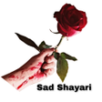 程序图标：Sad Shayari - Sad Shayari…