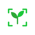 程序图标：Flora ID определитель рас…