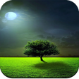 Symbol des Programms: Nature wallpaper hd app o…