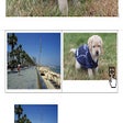 Icon of program: Google Docs Image Viewer