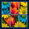 Ikon program: Fun Jigsolitaire : Jigsaw…