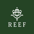程序图标：ريف  REEF