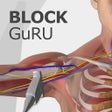 Ikon program: Block GuRU Lite
