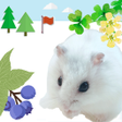 プログラムのアイコン：Hamster Walks