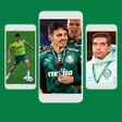 程序图标：Palmeiras Papel de Parede…
