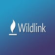 Icono de programa: Wildlink