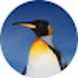 Icono de programa: ISB PowerSchool Enhancer