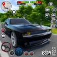 程序图标：Crazy Car Racing Game PRO