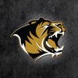 程序图标：Bentonville Tiger Athleti…