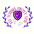 程序图标：My Tunnel Proxy
