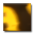 Symbol des Programms: Feuersalamander