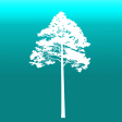 Arboreal - Height of Tree