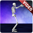 Иконка программы: Dance Skeleton Video Wall…
