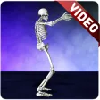 Dance Skeleton Video Wallpaper