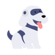 Icon of program: Study Fetch