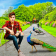 Icon of program: Peacock Photo Editor - Fr…