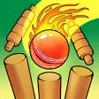 Cricket Bowling