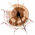 Symbol des Programms: SelfHTML