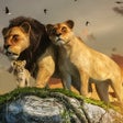 程序图标:Wild Lion Family Simulato…