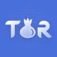 TOR Browser Private  VPN