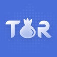 ไอคอนของโปรแกรม: TOR Browser Private  VPN