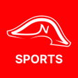 Иконка программы: Napoleon Sports betting