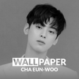 Programın simgesi: CHA EUNWOO HD Wallpaper