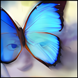Symbol des Programms: Dreamy Photo