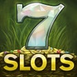 プログラムのアイコン：Slots of Treasure