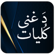 Icon of program: Ghani Khan Pashto Poetry