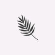 أيقونة البرنامج: Essential MVMT App