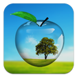 Иконка программы: PiP camera. Picture in pi…