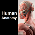 プログラムのアイコン：Human Anatomy Quiz