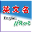 プログラムのアイコン：英文名