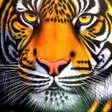 プログラムのアイコン：Tiger Simulator 2021 : Ti…