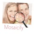 Mosaicify: Photo mosaic app